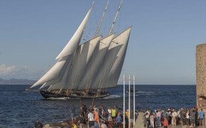 Régate des Voiles de Saint-Tropez-2