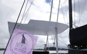 1/2 journée visite du Golfe du Morbihan ou de la Baie de Quiberon-11