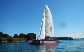 1/2 journée visite du Golfe du Morbihan ou de la Baie de Quiberon-16