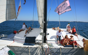 1/2 journée visite du Golfe du Morbihan ou de la Baie de Quiberon-18