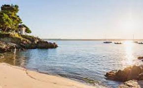 Demi-journée en Baie de Concarneau-6