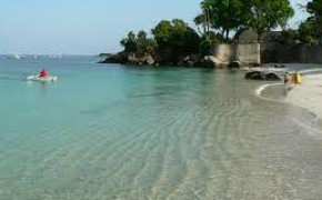 Demi-journée en Baie de Concarneau-7