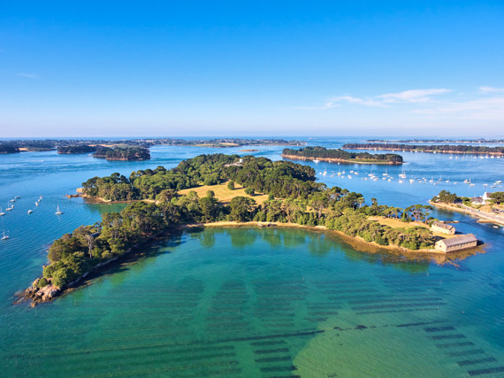 1/2 journée visite du Golfe du Morbihan ou de la Baie de Quiberon-6