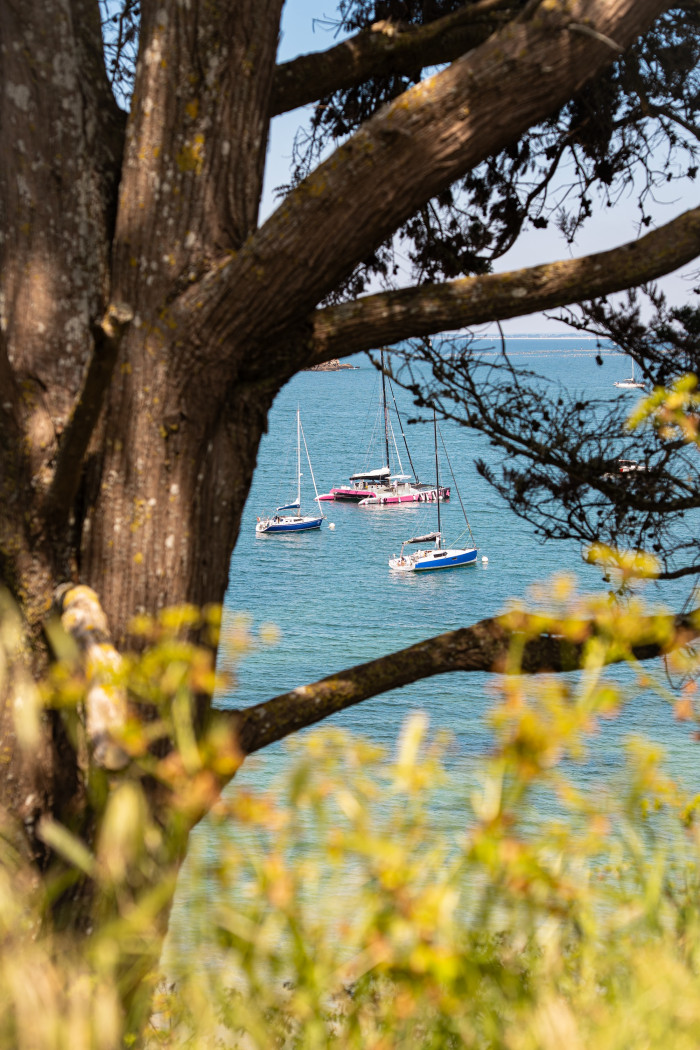 Journée destination l'île de Houat-17